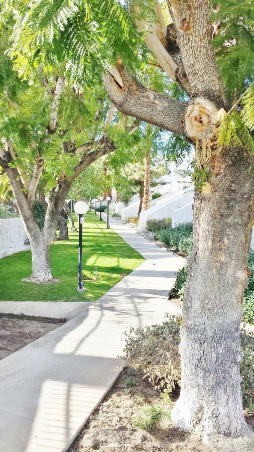 Palm Canyon Villas Palm Springs Exterior photo